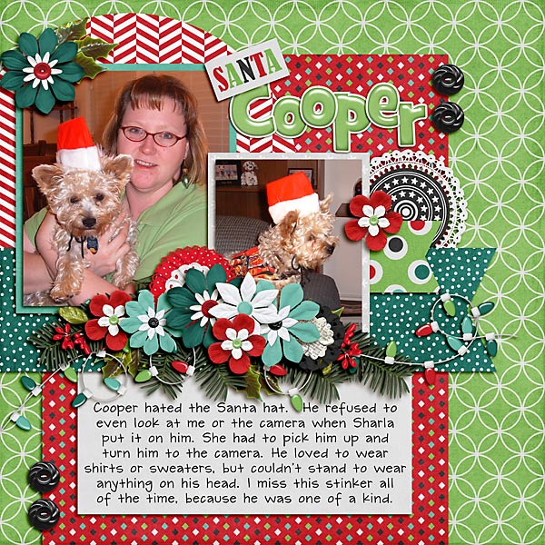 Santa Cooper