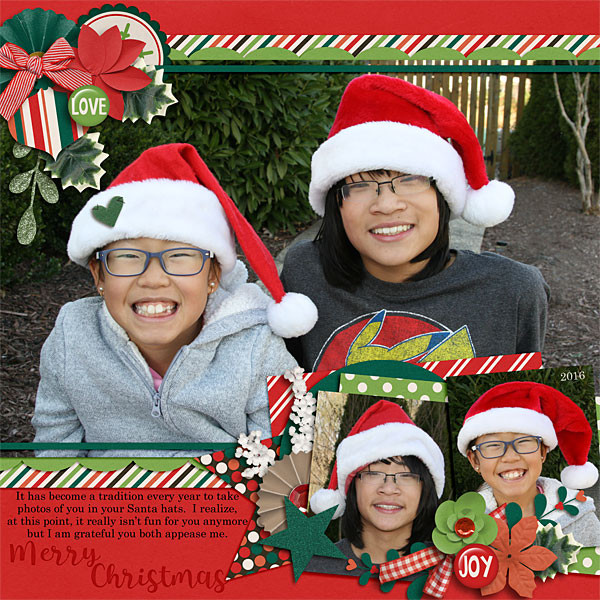Santa Hats