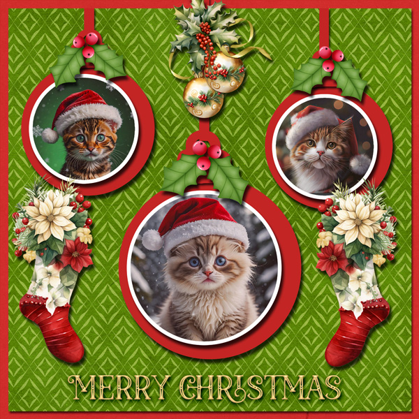 Santa Kitties