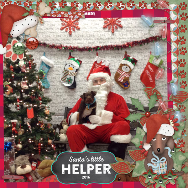 Santa paws