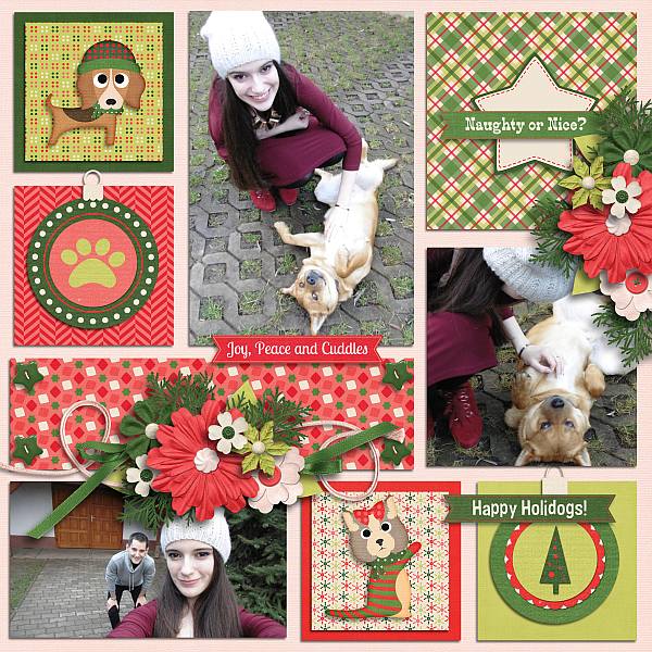 Santa paws