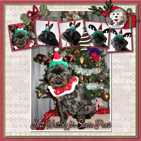 Santa Paws