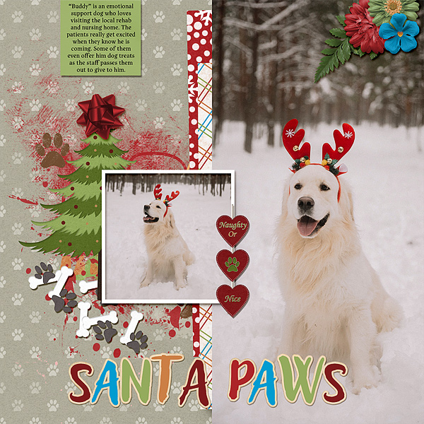 Santa Paws