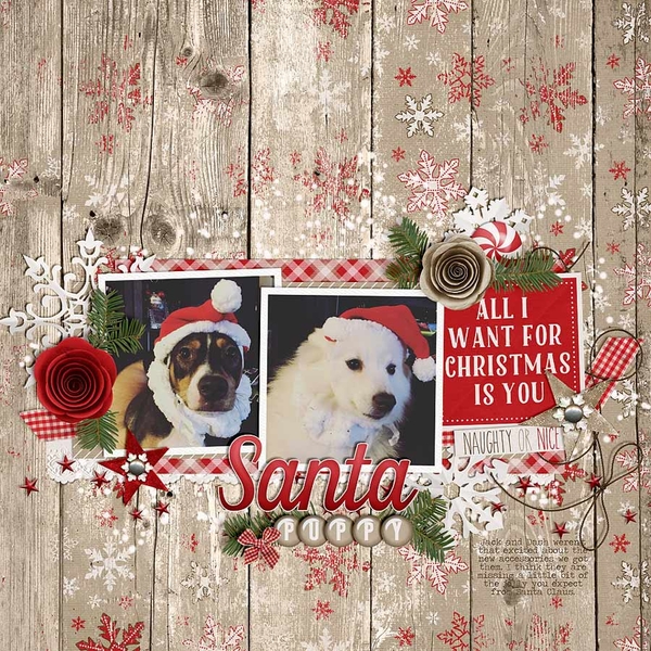 ~Santa Puppy~