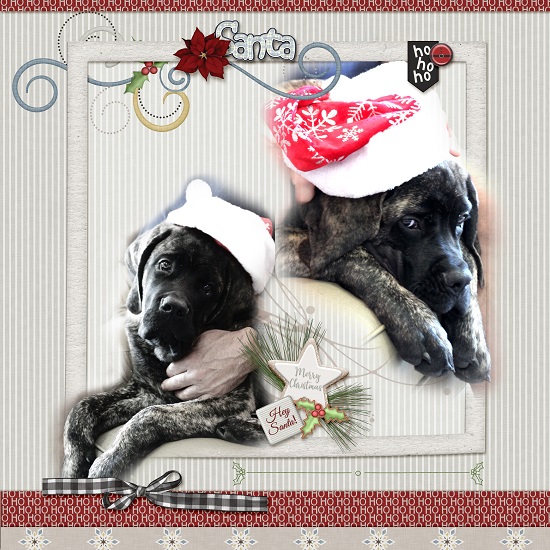 Santa_baby_Tiberius