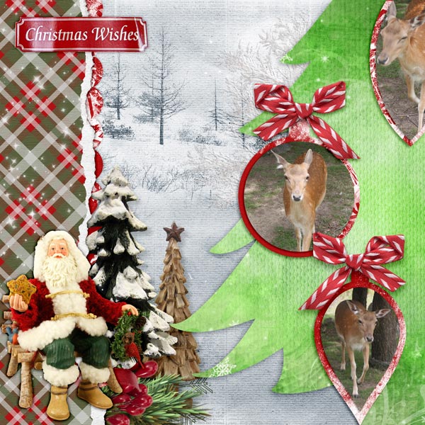 Santas Favourite