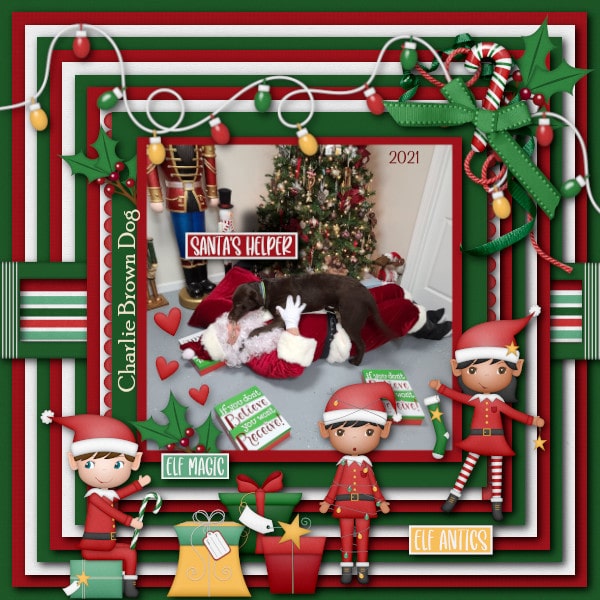 Santa's Helper