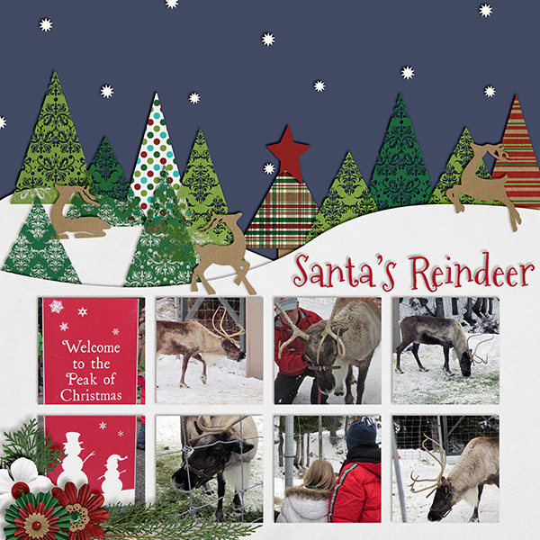 Santa's Reindeer