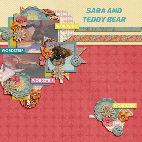 Sara and her teddy bear 2