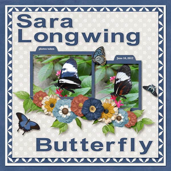 Sara Longwing Butterfly small.jpg