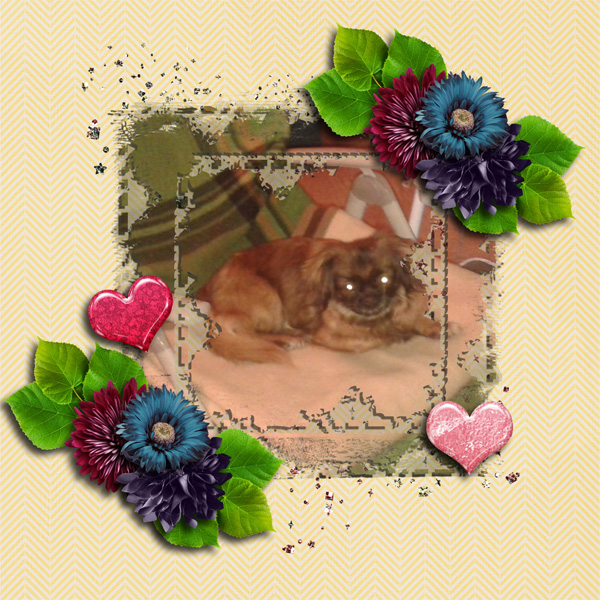 Sara my love