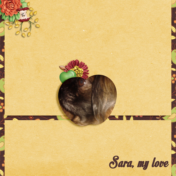 Sara my love