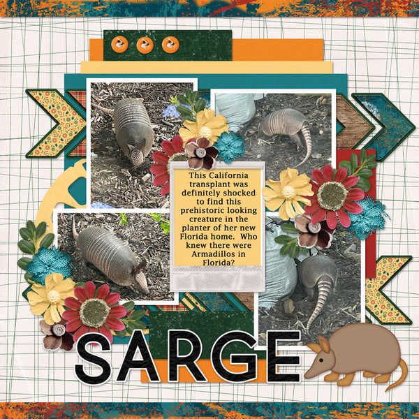 Sarge