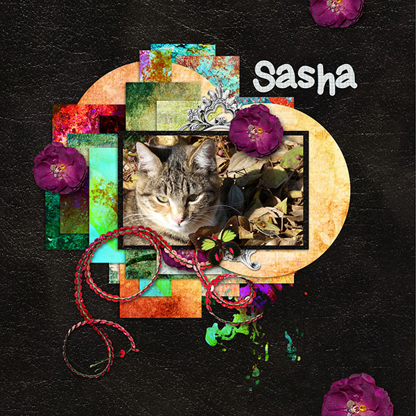 Sasha