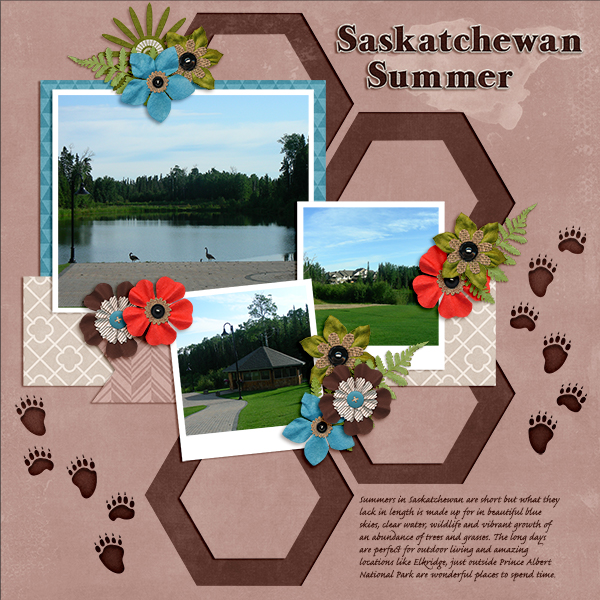 Saskatchewan Summer