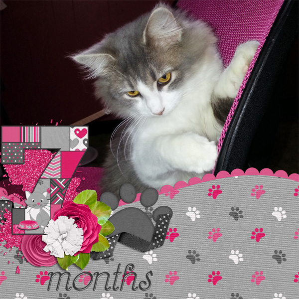 Sassy at 7 Months