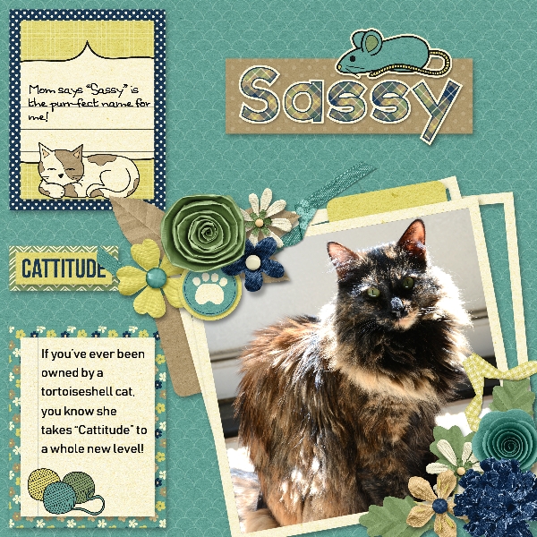 Sassy-Cat