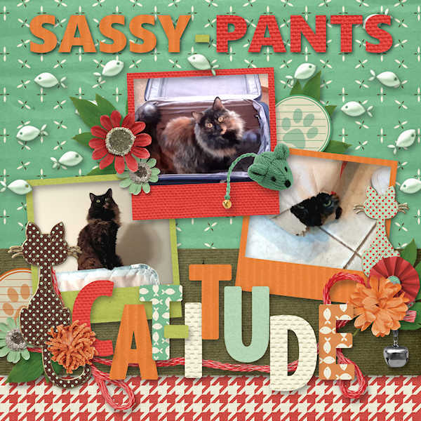 Sassy-Pants