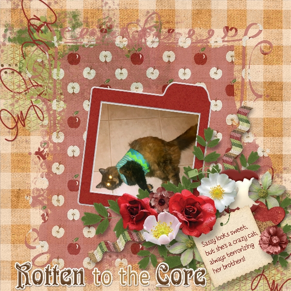 Sassy...Rotten to the core!