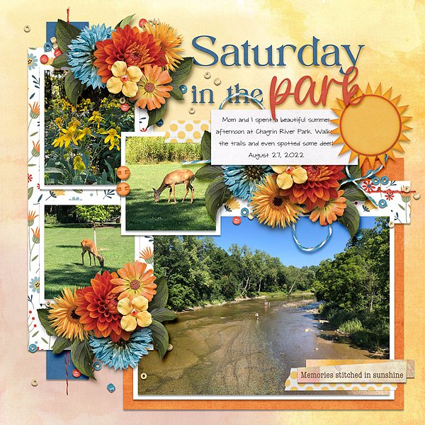 saturday in the park