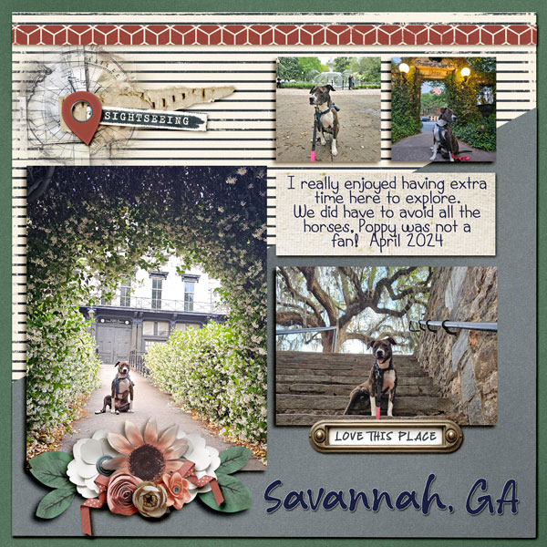 Savannah R