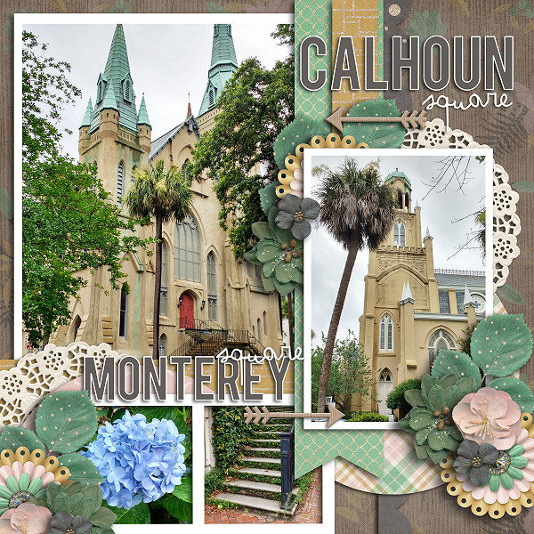 Savannah Squares