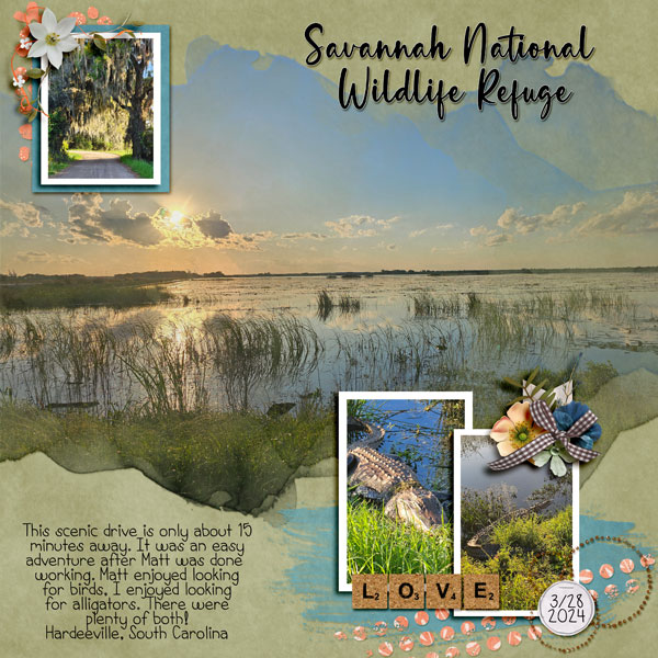 Savannah Wildlife