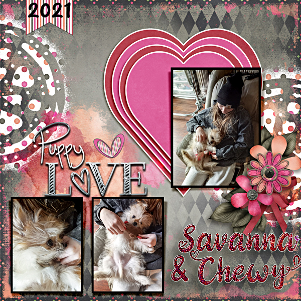 Savanna's Puppy Love