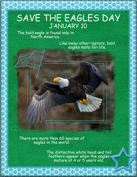 Save the Eagles Day