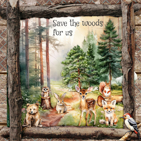 Save-the-woods-for-us