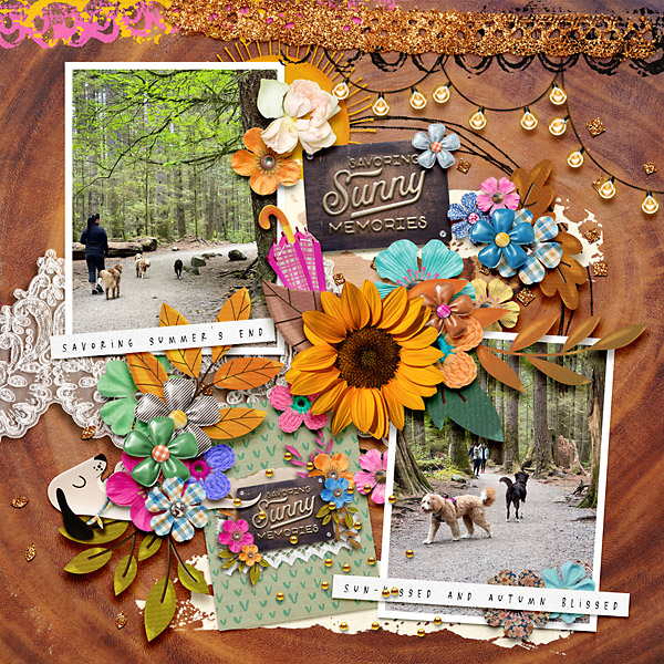 Savoring Sunny Memories