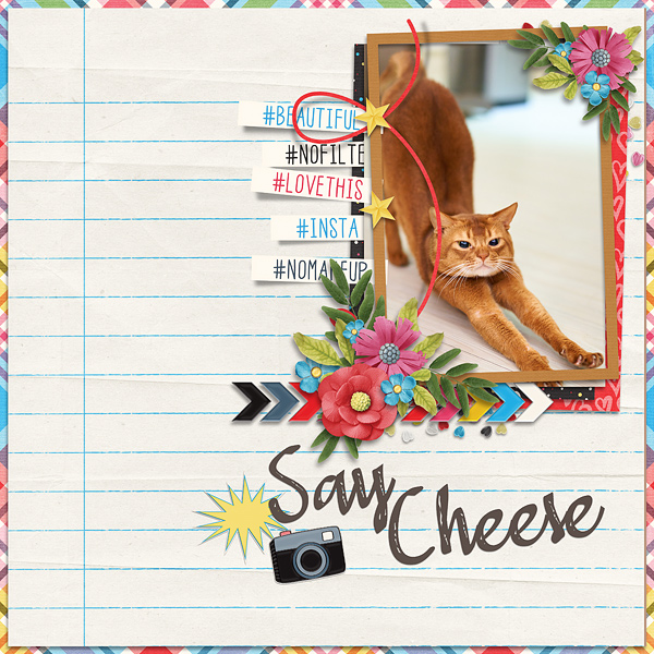Say Cheese
