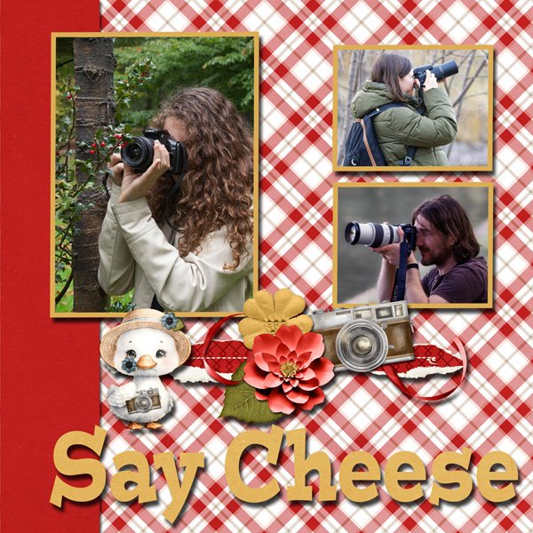 Say Cheese