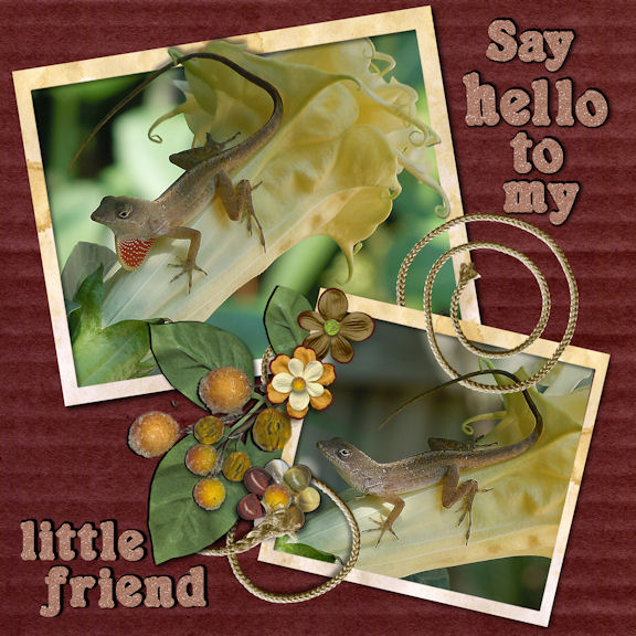 Say hello