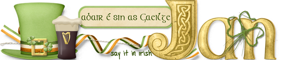 Say It in Irish