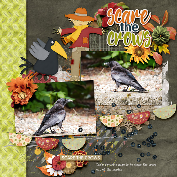 Scare The Crows