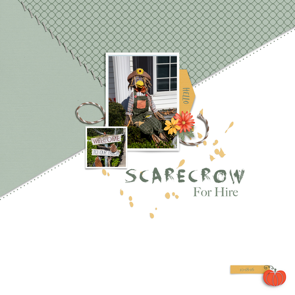 Scarecrow For Hire