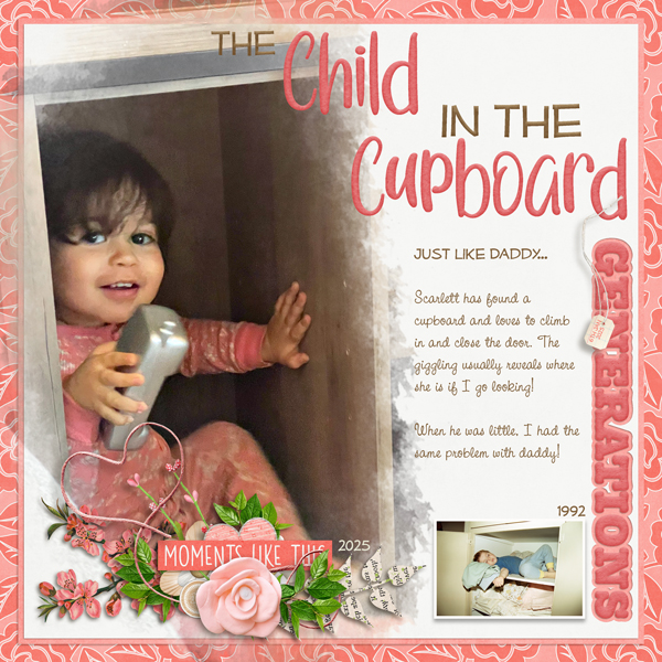 Scarlett's Cupboard