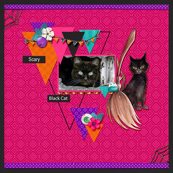 Scary black cat