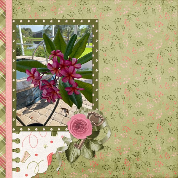 SCD_HBB_SAMPLER_PP16.jpg