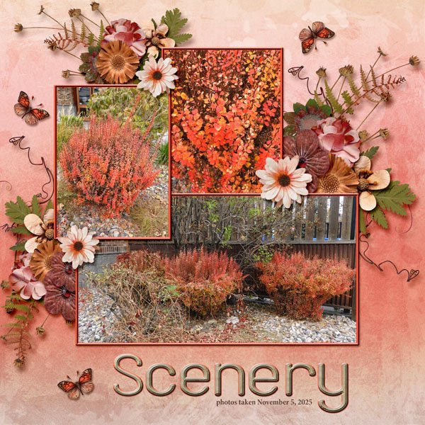scenery small.jpg