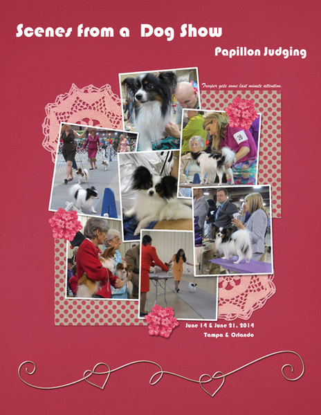 Scenes from a Dog Show