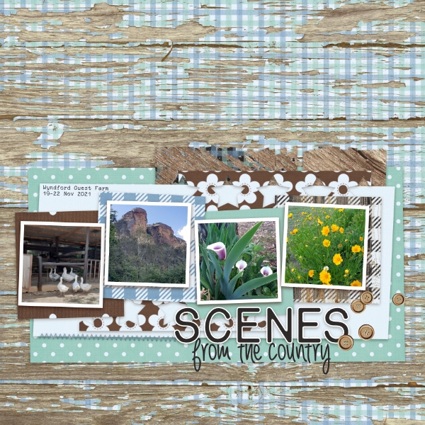 Scenes from the Country