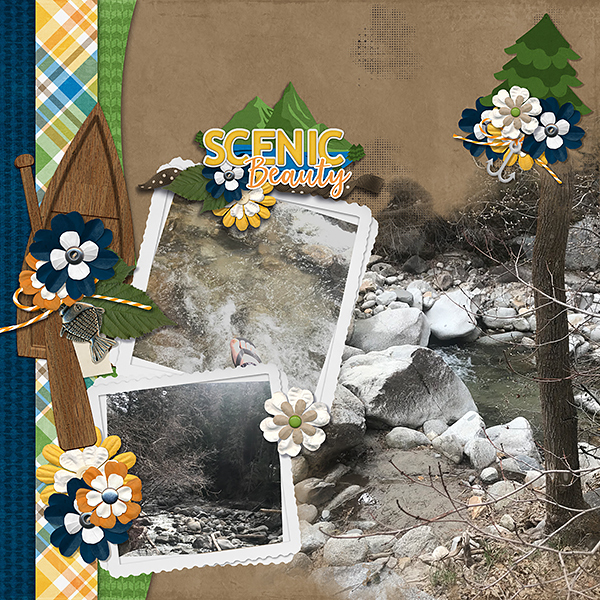 scenic-beauty