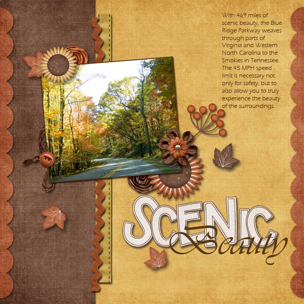Scenic Beauty