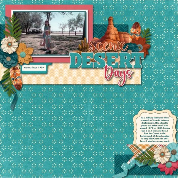 Scenic Desert.jpg