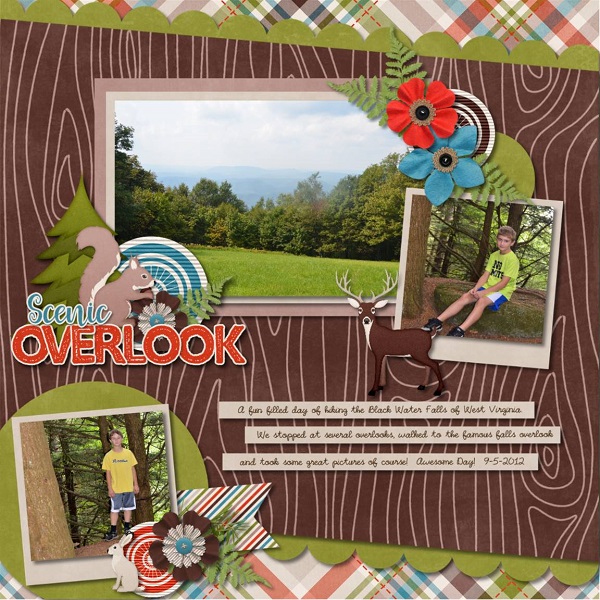 Scenic Overlook