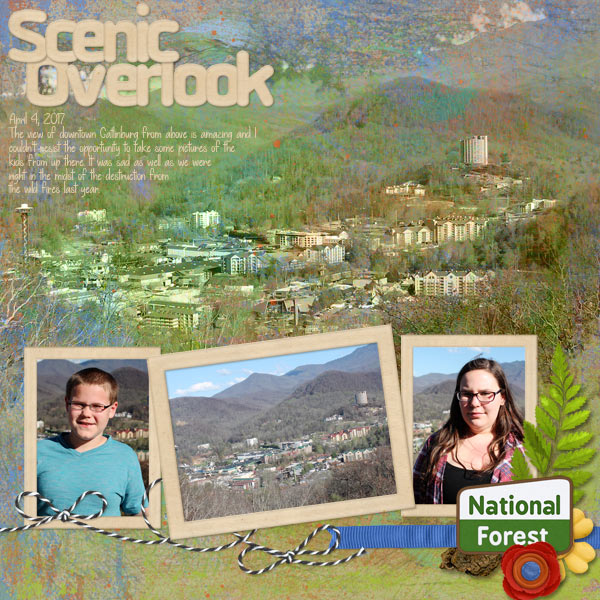 Scenic Overlook