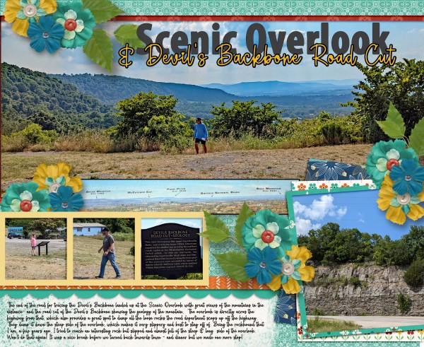 Scenic Overlook