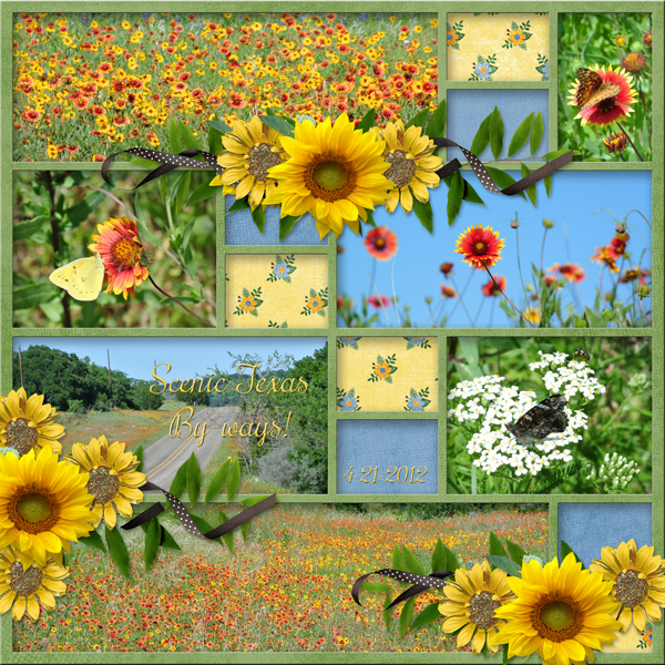 Scenic Texas By-Ways